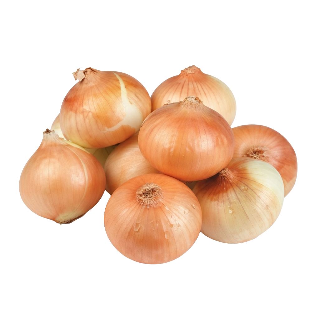 Spanish Onions