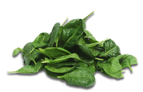 TK Pre-Checked Spinach (4 oz)