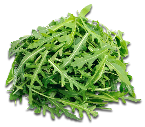 TK Pre-Checked Arugula (4 oz)