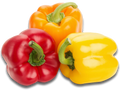Rainbow Peppers (3 Pack)