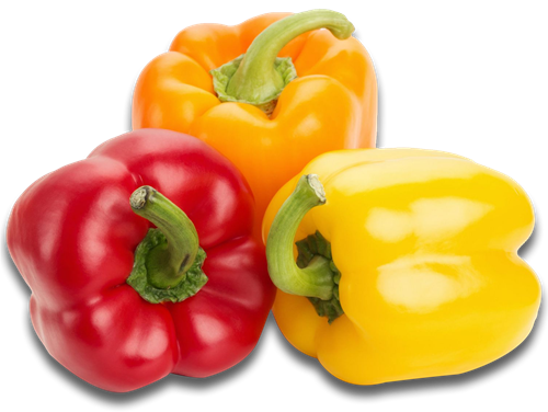 Rainbow Peppers (3 Pack)