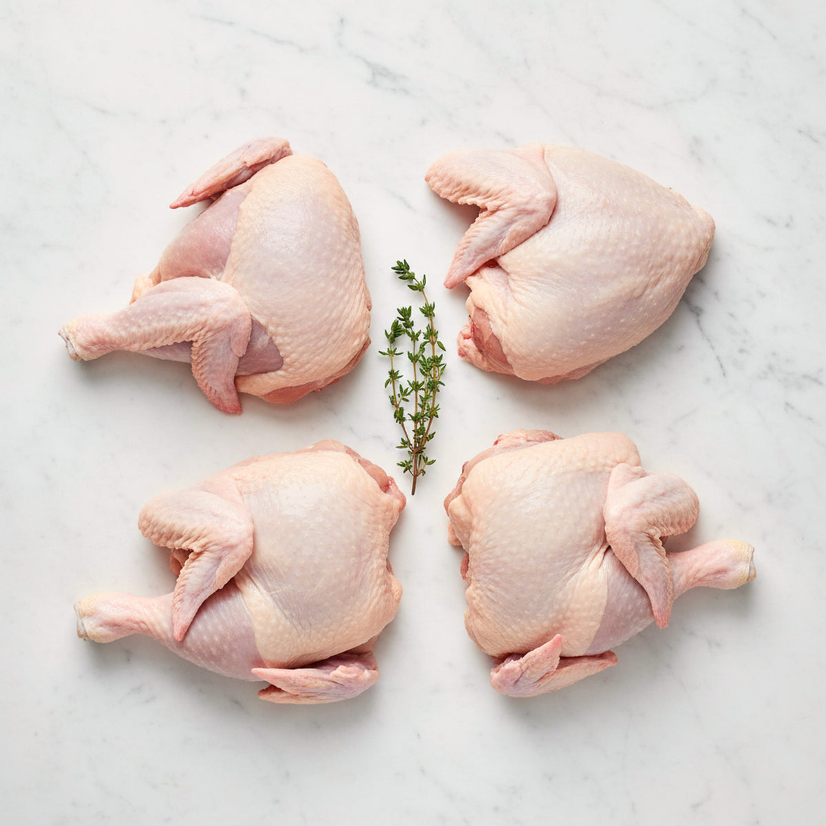 Raw chicken cut into four quarters around a thyme sprig on white marble