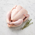 Whole raw chicken with trussed legs beside thyme sprigs on white marble