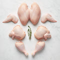 Raw capon cut into breasts, wings, leg quarters and drumsticks, arranged on white marble with thyme