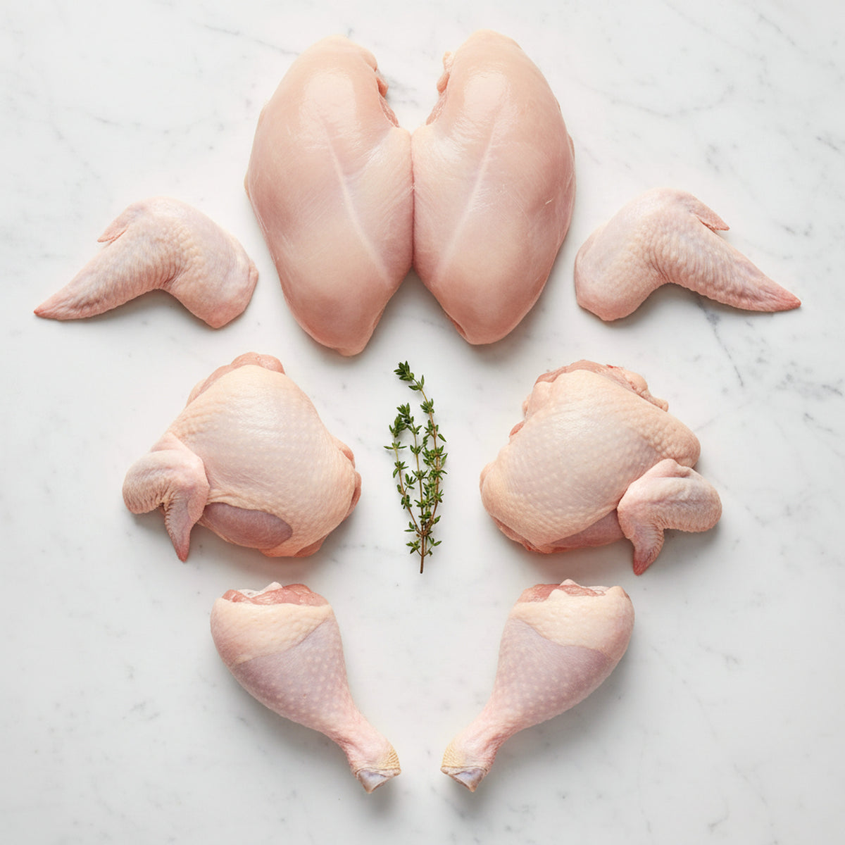 Raw capon cut into breasts, wings, leg quarters and drumsticks, arranged on white marble with thyme