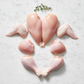 Raw pullet cut into breasts, wings, thighs and drumsticks, arranged on white marble with a thyme sprig