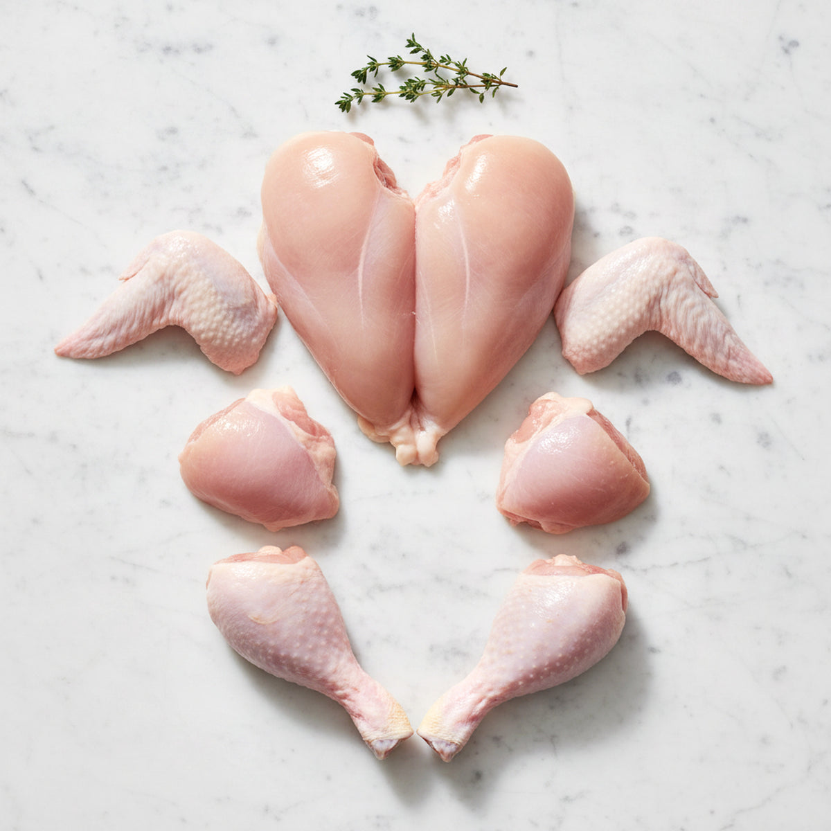 Raw pullet cut into breasts, wings, thighs and drumsticks, arranged on white marble with a thyme sprig