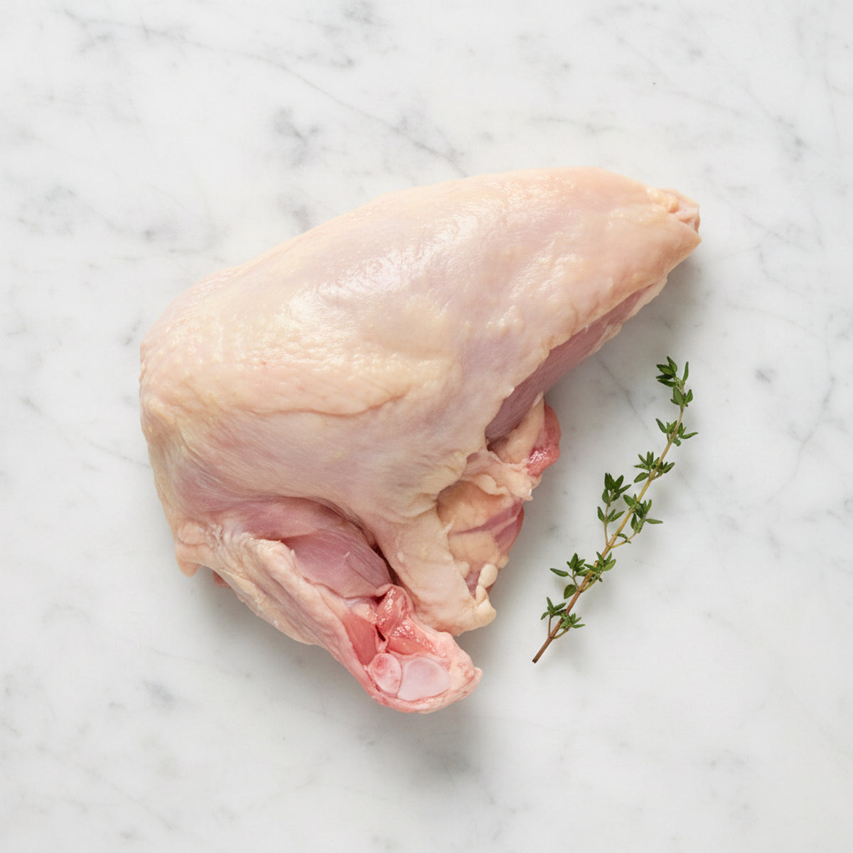 Raw bone-in chicken supreme with a thyme sprig on white marble