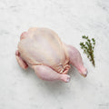 Whole raw capon with a thyme sprig on white marble