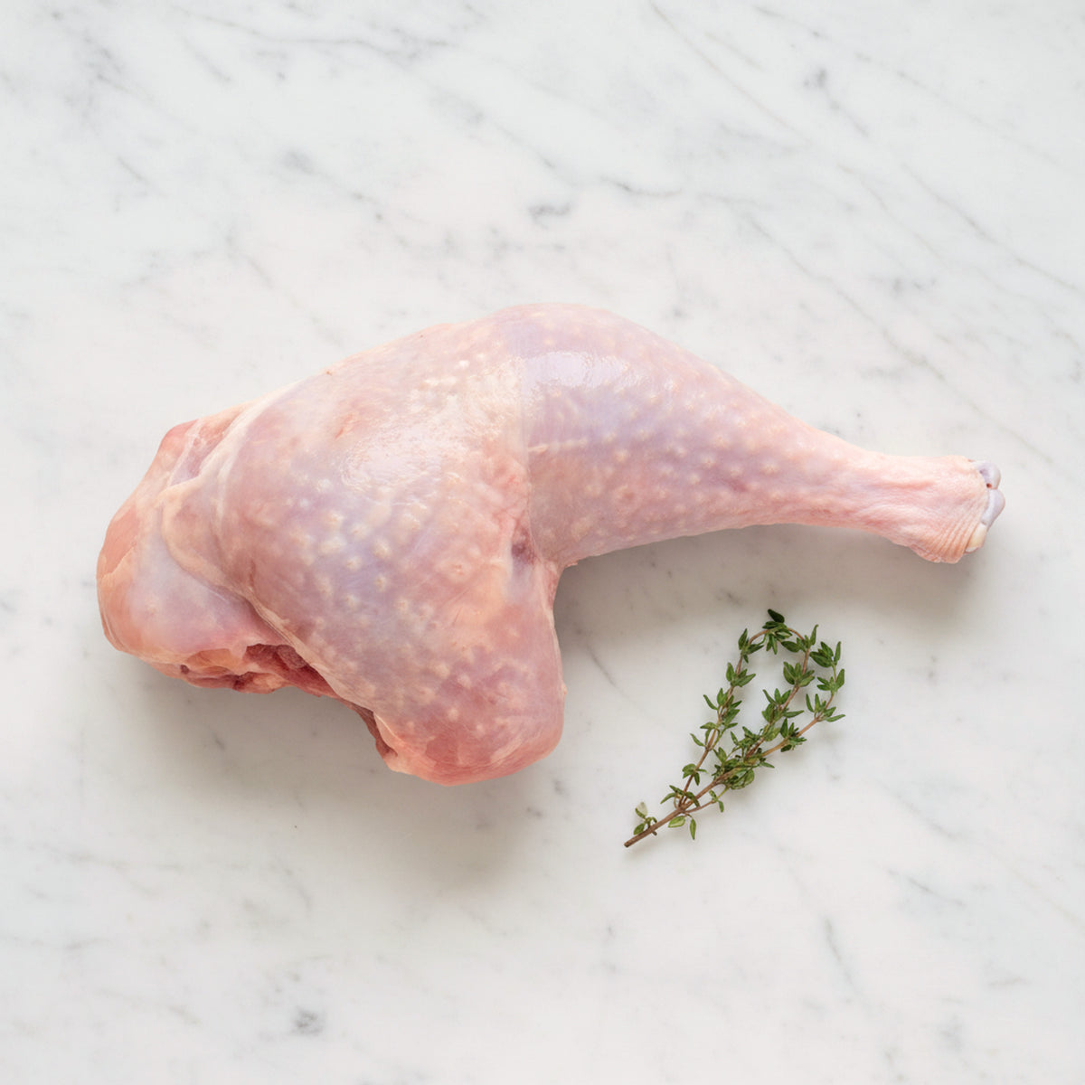 Raw turkey leg with a thyme sprig on white marble