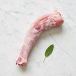 Raw turkey neck with a sage leaf on white marble