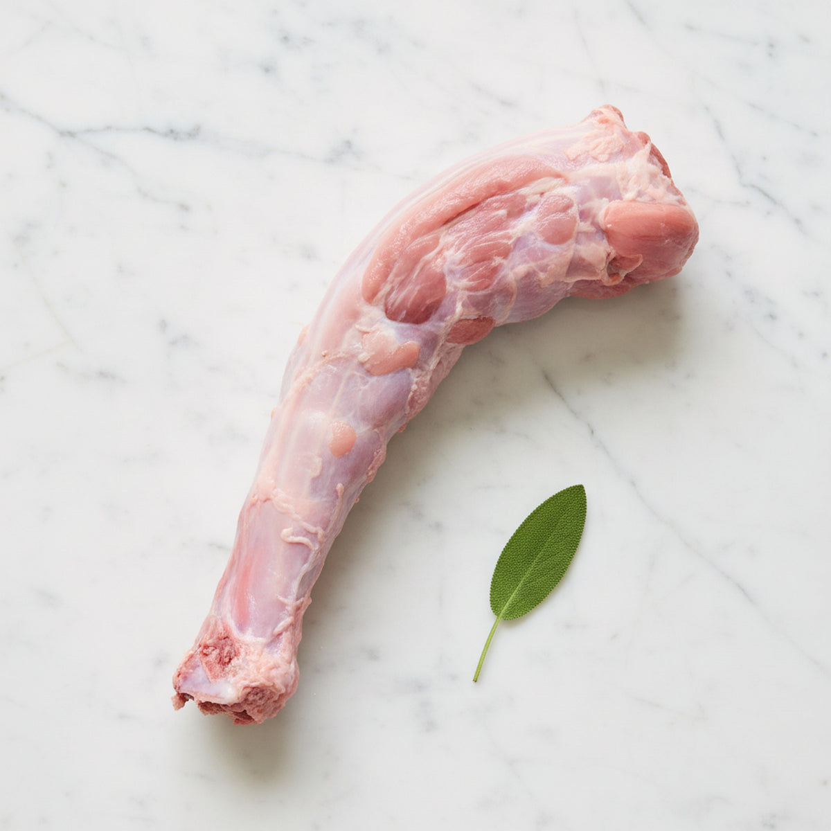 Raw turkey neck with a sage leaf on white marble