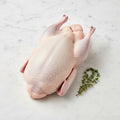 Whole raw duck with a thyme sprig on white marble