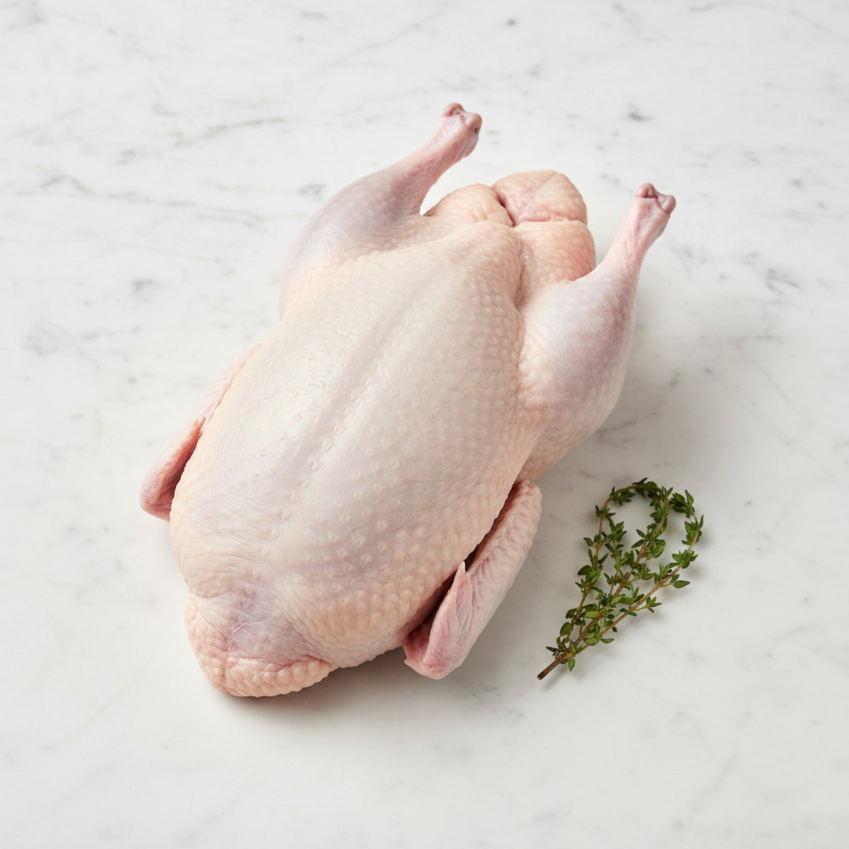 Whole raw duck with a thyme sprig on white marble