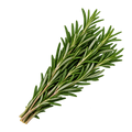 TK Pre-Checked Rosemary (1 oz)