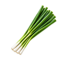 TK Pre-Checked Green Onions (1 oz)