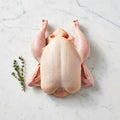 Raw plain butterflied chicken on a white marble surface