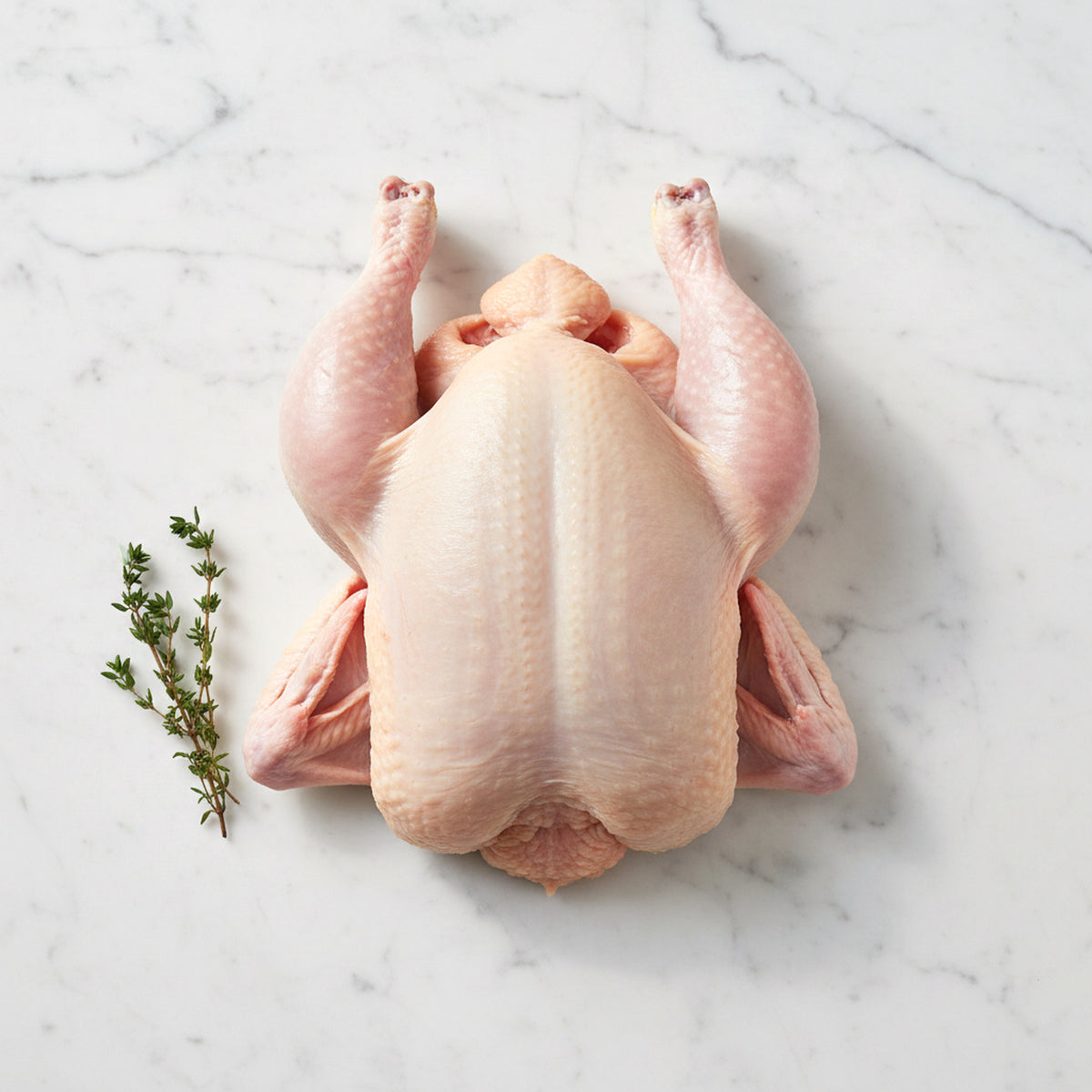 Raw plain butterflied chicken on a white marble surface