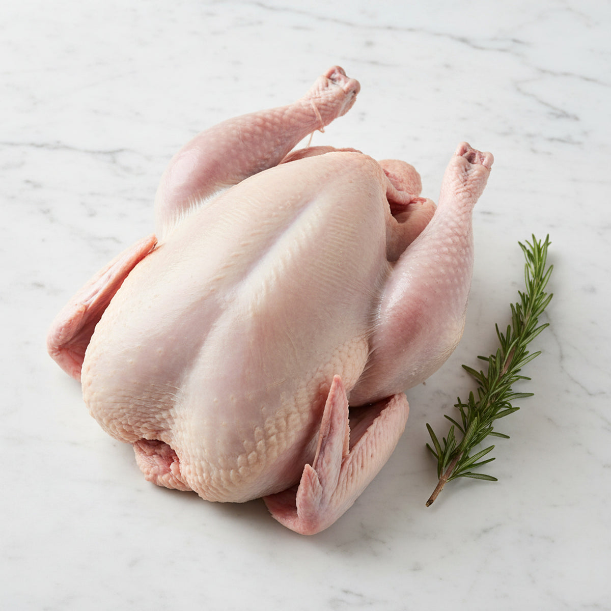 Whole raw turkey on a white marble surface